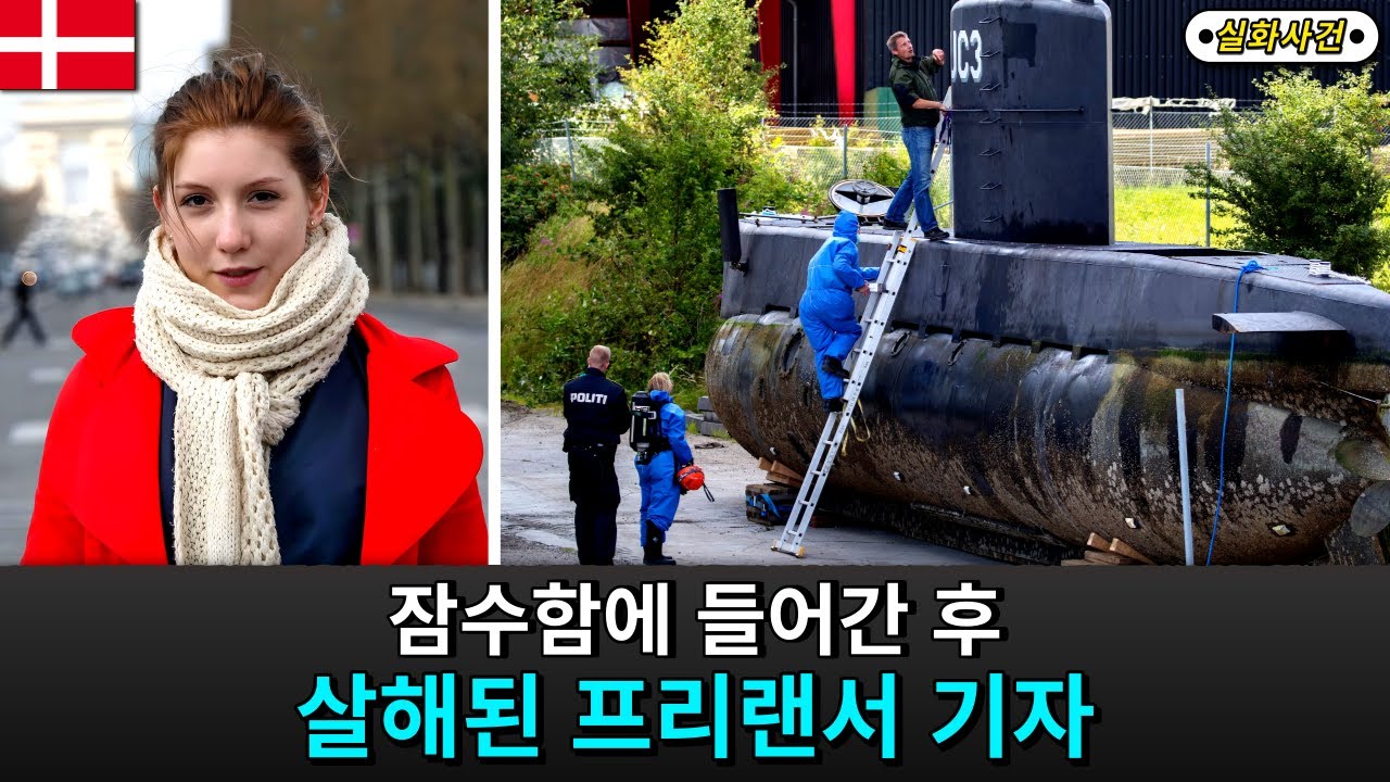 [해외사건] [덴마크] '덴마크의 머스크' 주목받던 공학자의 만행