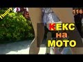 Кекс на мотоцикле Moto ninja