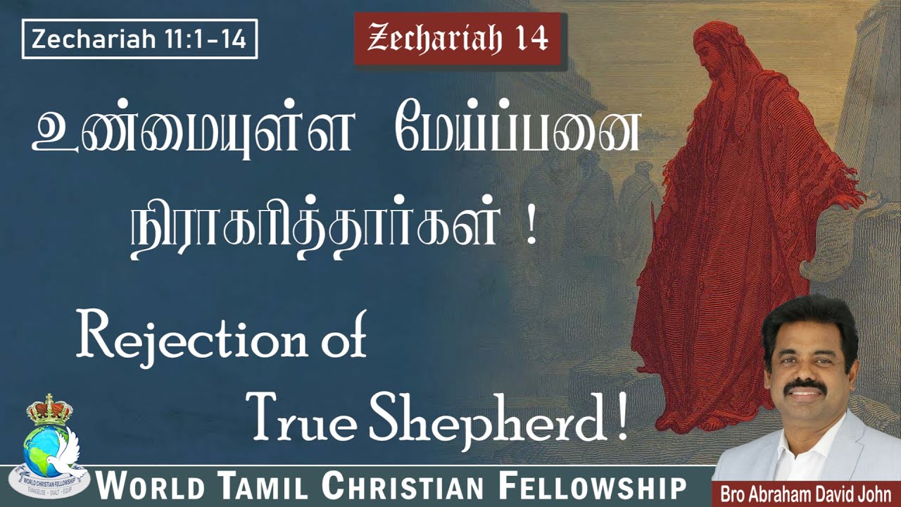 Rejection of True Shepherd! !