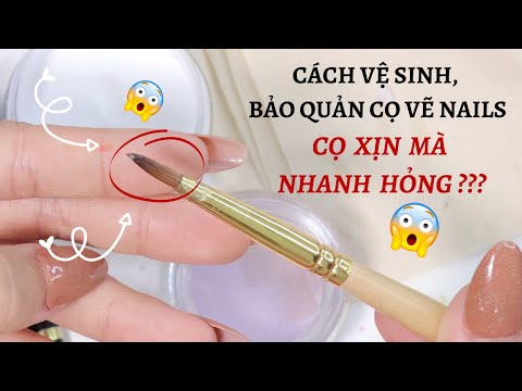 Cách Vệ Sinh, Bảo Quản Cọ Vẽ Nails - Cọ Xịn Mà Nhanh Hỏng ???