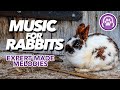Music Rabbits LOVE - Expert Made Relaxing Music for Anxious Bunnies 🐰