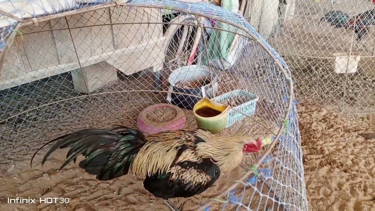 เด็กหนุ่มจับมาจากสวยสวยๆ สนใจสอบถามรายละเอียด 0864530773