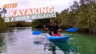 Kayaking at the Eastern Mangroves Park in Abu Dhabi