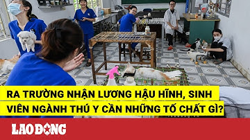 Ra trường nhận lương hậu hĩnh, sinh viên ngành Thú y cần những tố chất gì? | Báo Lao Động