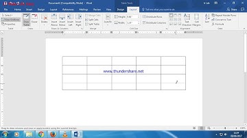 How to use Eraser in MS Word