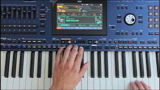 Danekoo1 - Galactic breeze ( New Euro Disco Style & Korg Pa5x )