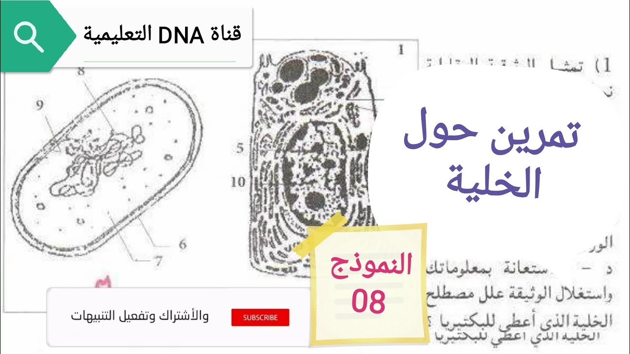 تمارين الخلية وحدة بنيوية للسنة الثانية ثانوي