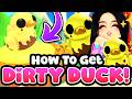 How to Get the DIRTY DUCKY Pet in Adopt Me!
