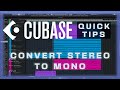 How To Convert a Stereo Track to Mono in Cubase (Cubase 12 quick tips)