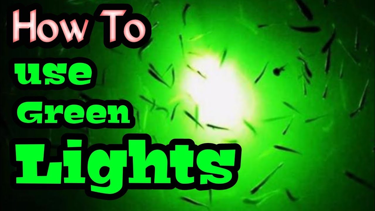 How To use a LED Fishing light 