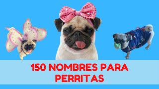 150 NOMBRES CORTOS PARA PERRITAS // MEJORES NOMBRES PARA PERRAS
