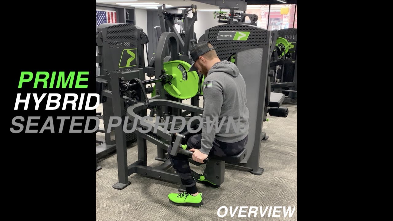 HYBRID  Seated Leg Curl - PRIME Fitness USA