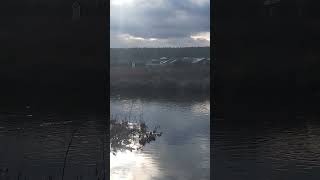 Рыбалочка на поплавок с другом.Скорее всего закрытие но это не точно.😀