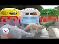 Колеса на автобусе - 3 автобуса | Английский песни для детей | Spotted Polar Bear - Mультики