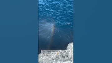 Just one of the magical things you experience at sea.