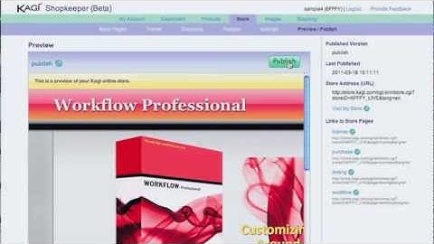 Introduction to the Kagi Hosted Online Store