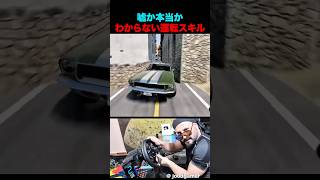 嘘か本当かわからない運転ゲーム