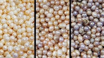 optical sorting for pearl