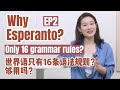 EP2: Language features of Esperanto | Only 16 grammar rules??世界语竟然只有16条语法规则？够用吗？