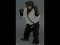 Charlie the Karate Chimp mashup Kung Fu Fighting Music Video