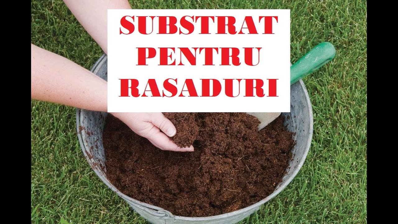 Cum pregătim substratul pentru răsaduri