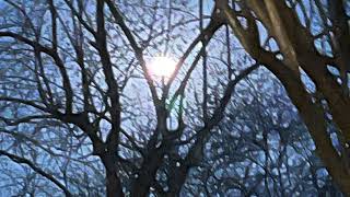 Chupke chupke raat din (Ghulam Ali classic) my version