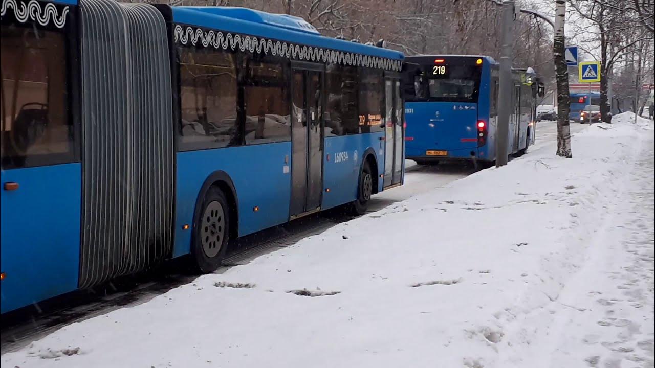 Автобус 219 буревестник нижний. Автобус 219 Москва. Автобус 219 Нижний Новгород. Маршрут 219 автобуса Москва. Автобус 219 синий Москва.