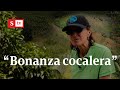 El Cauca vive una “bonanza cocalera” que ni la pandemia frenó