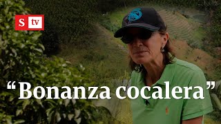 El Cauca vive una “bonanza cocalera” que ni la pandemia frenó