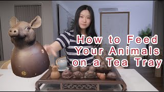 【TAISHAN TEA CLUB泰山茶道】How to Feed Your Animals on a Tea Tray茶桌上的动物怎#teawares#tea pet#tea ceremony