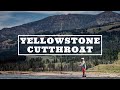 Yellowstone cutthroat