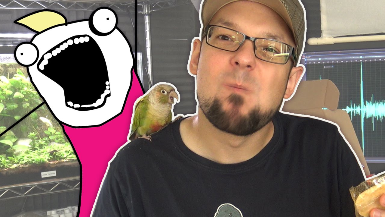 Eat ALL the things! Chicken Broth Candy? ★ 3 MunchPaks Unboxing!