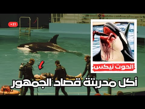 الحادثة الاشهر في العالم حاليا الدقائق الاخيره المرعبه للمدربة جيسكا والحوت القاتل نيكس
