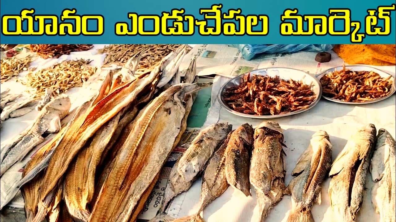 Yanam Fish Market Vlog Yanam Fish Market yanam-fish-market-vlog-yanam-fish-market