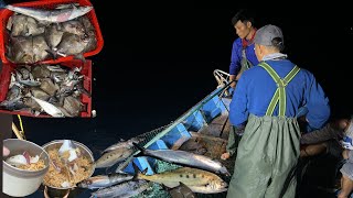 Lưới Rê Nổi Gần Bờ Bắt Cá Chim Cá Bè Xước Cá Ảu Cá Ngừ Nấu Mỳ Mực Lá Tươi Sống - Dân Biển
