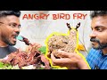 ANGRY BIRD FRY | Tasty Quail fry recipe | kaadai cooking skill | pagovlogs #video #youtube