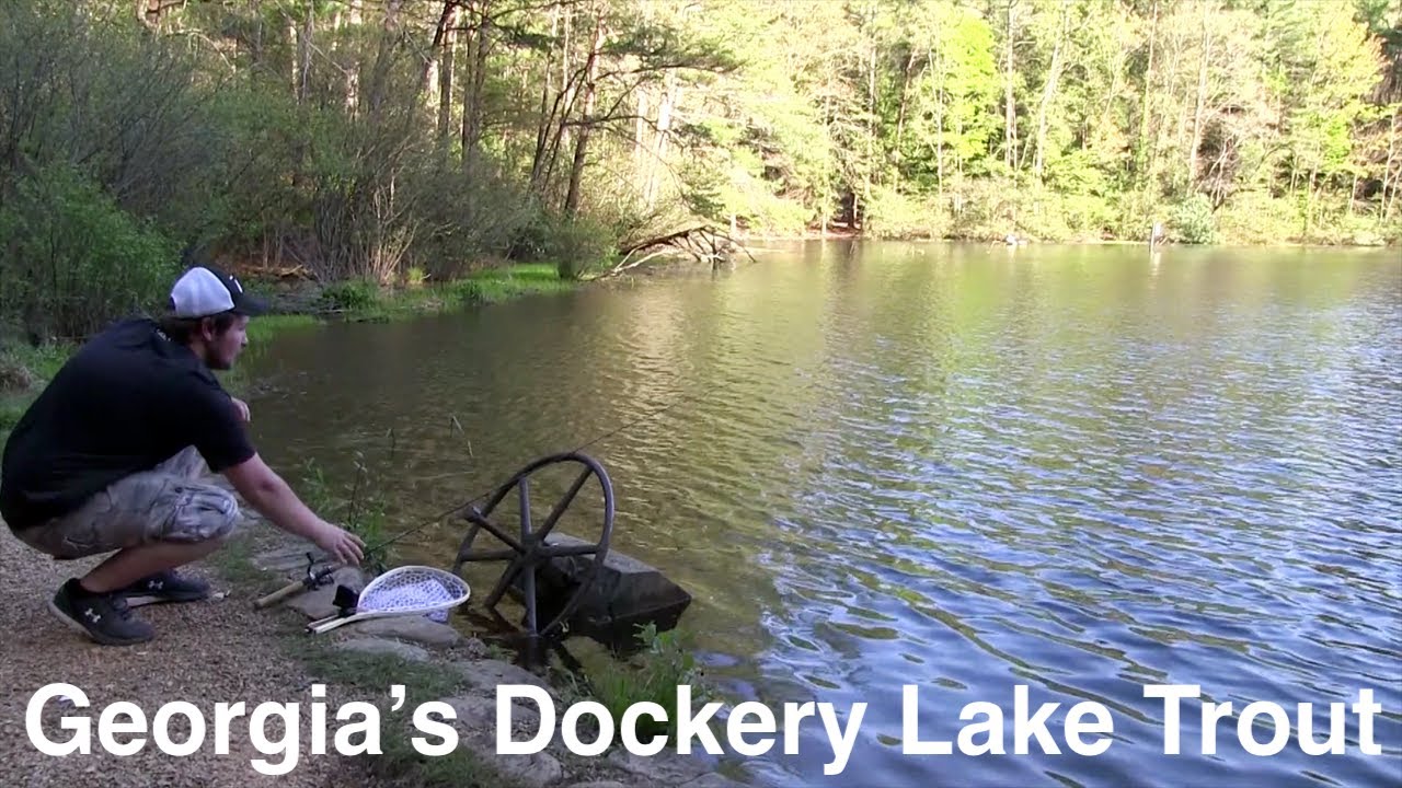 Trout Fishing Dockery Lake YouTube