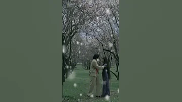 Mukesh S Superhit Song Suhani Chandni Raatein Hindi Sad Song Shashi Kapoor Vidya Sinha Mukti 