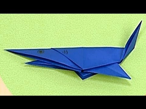 shark paper