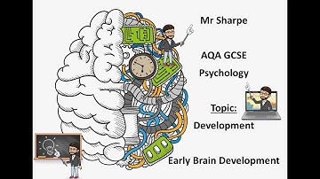Early Brain Development Revision Video Psychology GCSE AQA
