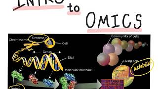 CHM4930 Intro to Omics