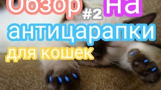 Обзор на антицарапки для котят,кошек и котов🐈🐱🐾 Обзор на антицарапки для котят,кошек и котов🐈🐱🐾