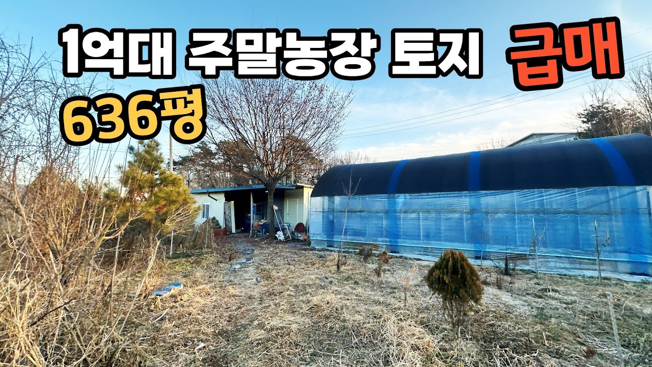 1억대 주말농장 토지 636평 급매물 (농막, 비닐하우스 몽땅 포함)