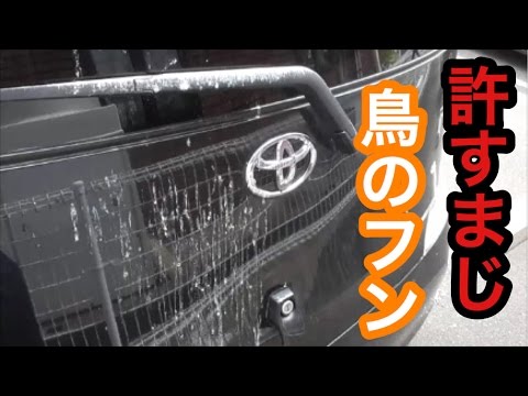 検証 10円の洗車で車についた鳥のフンを綺麗に洗い落とせるのか Youtube 検証 10円の洗車で車についた鳥のフンを綺麗に洗い落とせるのか Youtube