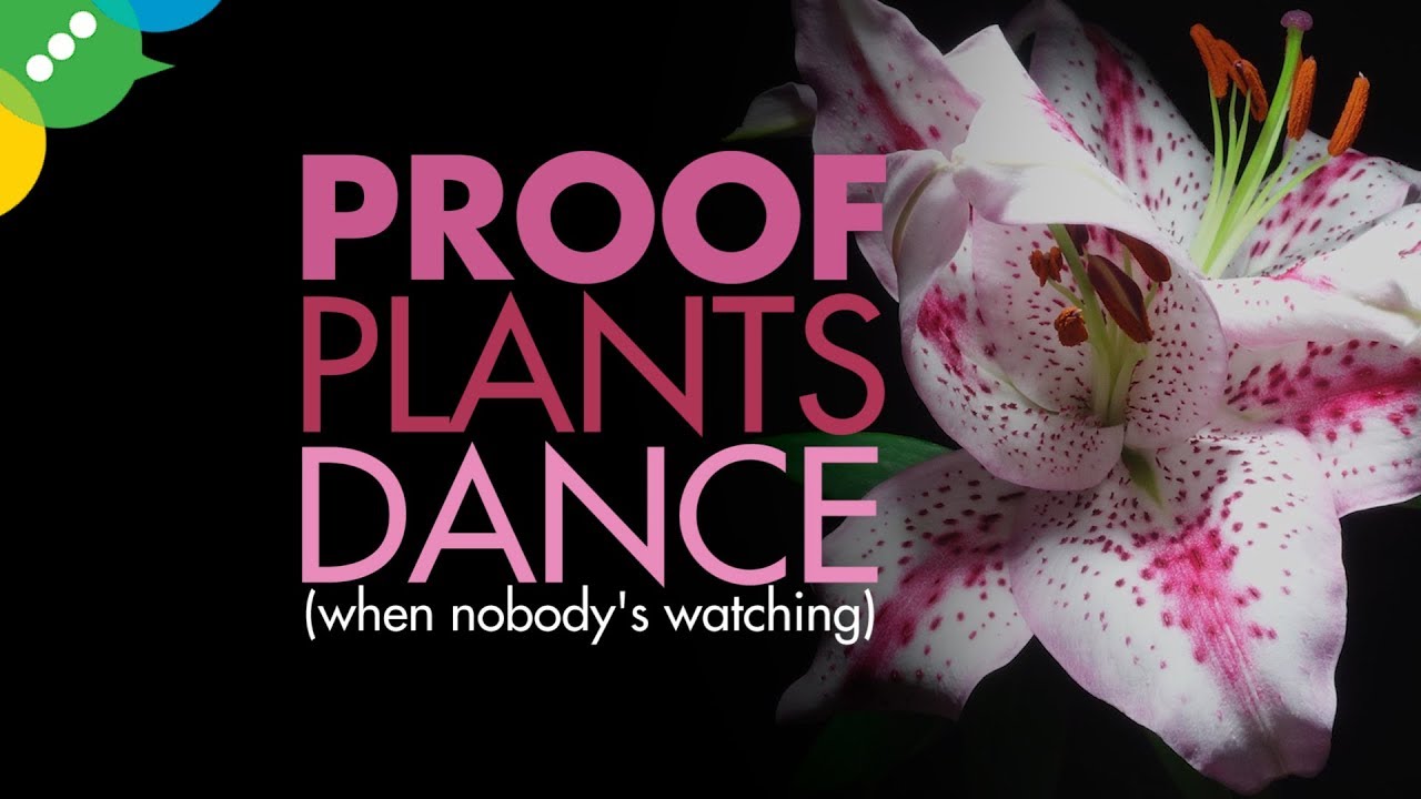 Proof That Plants Dance When You're Not Looking gmod textures