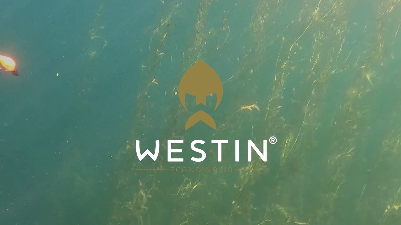 Buy BASSBITE SQUAREBILL at Westin Fishing