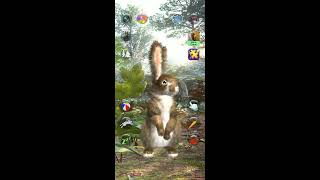 Talking Rabbit games play #1(1) screenshot 5