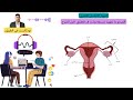 الجهاز التناسلي الانثوي بودكاست 