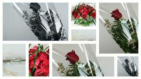 First Impressions Count!