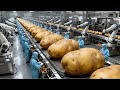 🔥 How Pringles Are Made 🥔🏭 | Inside a Pringles Production Line (Full Process)